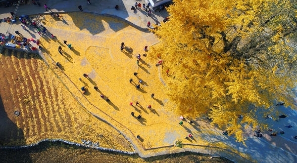 【纪检人·镜头】万物收藏 静待寒冬