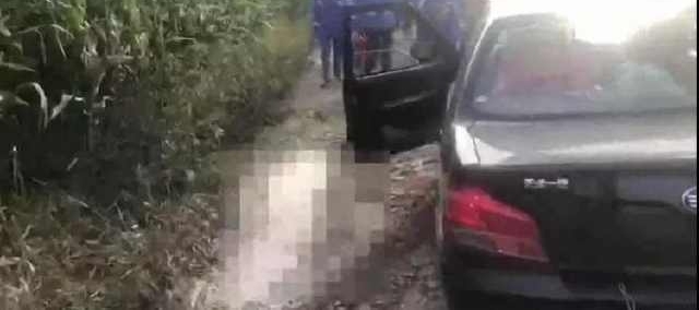 ��Ѯ���ް�ҹ���γ�͵���ף������б��������������ѣ�����ͼɶ��