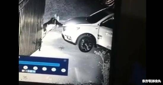 �뺷Ů˾��������ɲ�ﳵ ��������ʿӲ�Ƕ���ԭλ