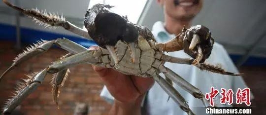 ����������� | 2018-09-23