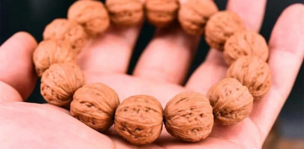 ����С������ֻҪС�ͺ���?