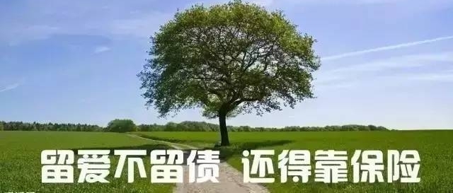 41岁北大才子癌症去世,儿子才4岁,最后一条微博引人深思…