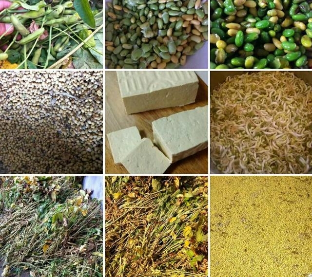 ƽ�ط��սڡ�����ϵ�ũ�塱