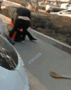 ֻ��Ȱ����ش�С�� �������ḸĸŹ������