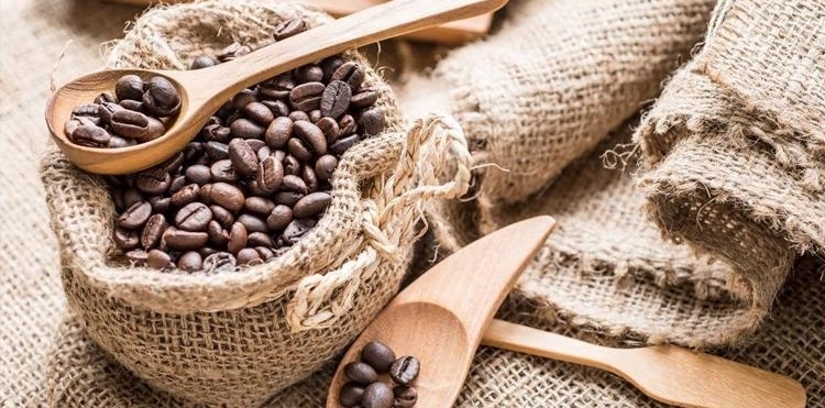 ҵ̸ᡪȸҰðʳƷ߽йг