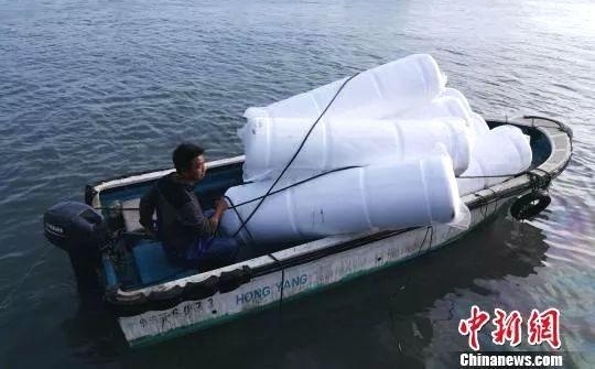 ̸̼šɫ䣿רңһԣǾ綾