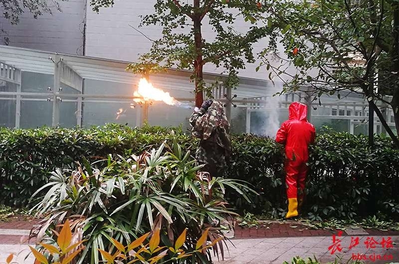 С�����������ˣ������ٱ�����æ