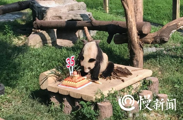 ȫ�����ϴ���è����һ������� ������Ʊ����