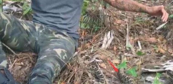 ����Ұ�������ߣ���������������һ����������ְ�ȫ�Ķ������