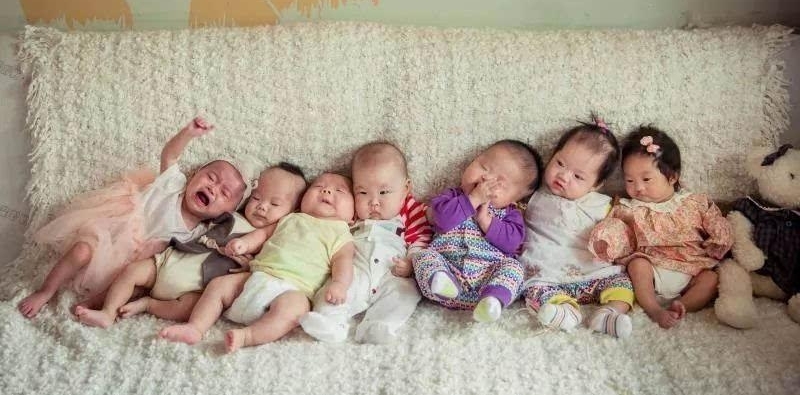 你刚下单的公益宝贝,给了1000多个“宝贝”重生的机会