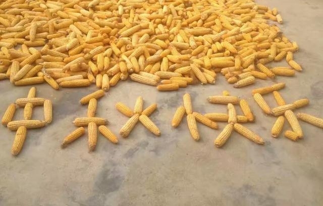 ƽ�ط��սڡ�����ϵ�ũ�塱