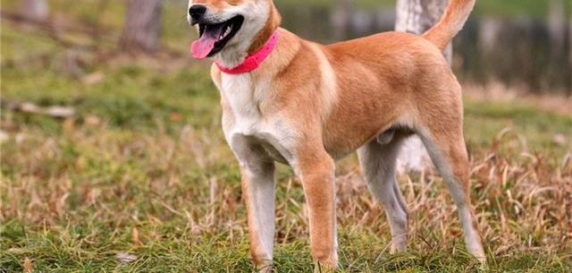 ݴүΪл԰Ȯ֤ܣԱΪȮ