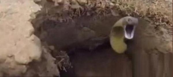 ӵԺݣоͷϲԣ̧ͷ˫Ȳܶ