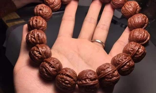 ����С������ֻҪС�ͺ���?