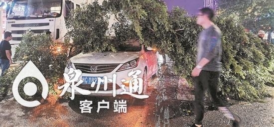 ˫11չ ĿݿȪﰲ·̯¡ˣ