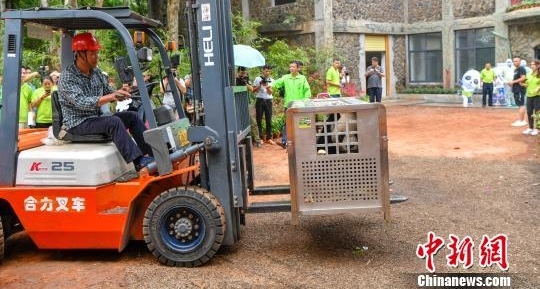大熊猫“贡贡”“舜舜”抵达海口 开启旅居海南生活