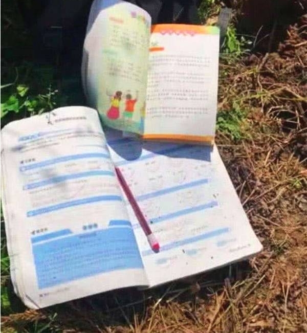 9岁男孩背2岁弟弟锄地,大家以为是作秀,看到旁边放的东西泪崩