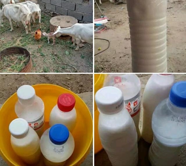 ƽ�ط��սڡ�����ϵ�ũ�塱