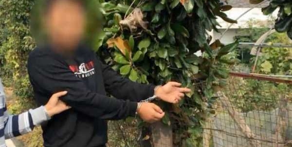 贪小便宜!3个千万富翁深夜钻进果园偷水果被刑拘