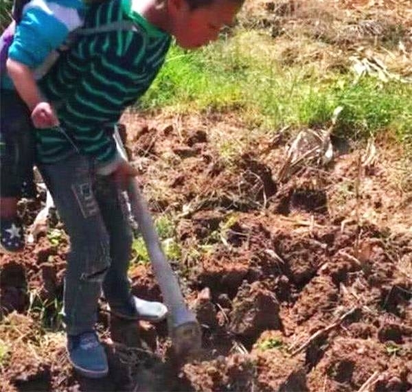 9岁男孩背2岁弟弟锄地,大家以为是作秀,看到旁边放的东西泪崩