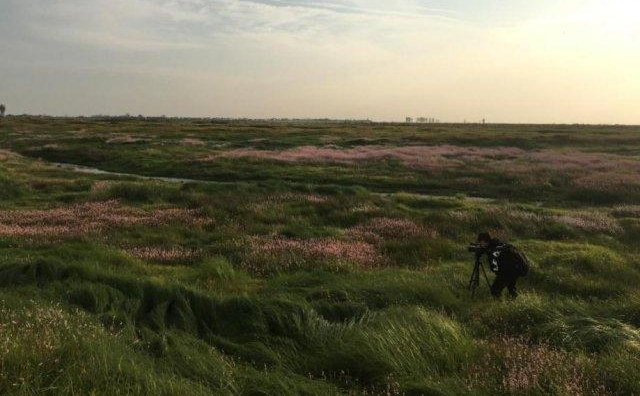 时代需要新媒体有趣的灵魂 更需要记者的情怀