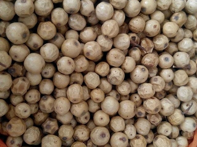 农村没人要的野果,做成手串卖到40元一串,还能治毒蛇咬伤