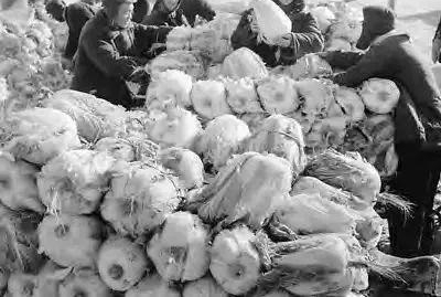 30ǰĶ죬Щʳ99%ı˶Թᱼ