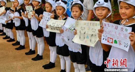 大熊猫“贡贡”“舜舜”抵达海口 开启旅居海南生活