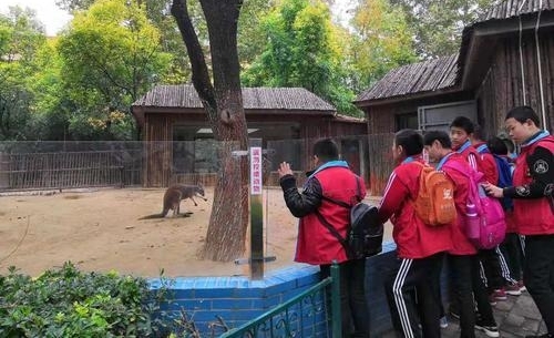 和动物亲密接触,管城区的这些孩子们过得很嗨皮