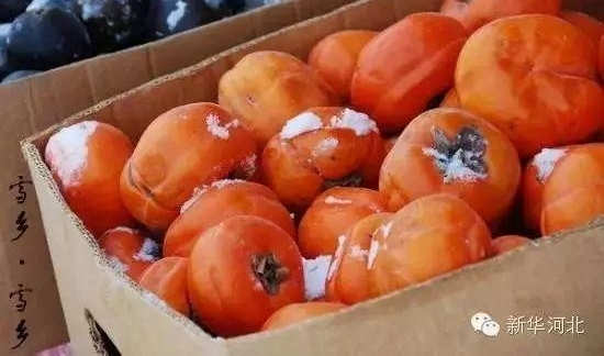 30ǰĶ죬Щʳ99%ı˶Թᱼ