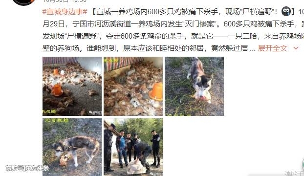 ʿ뼦ѣһ⡰Ѫϴ600ֳֻҲ̶á