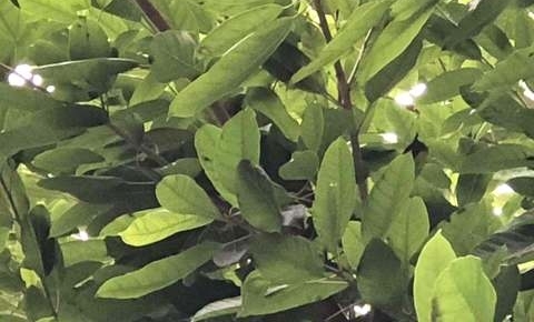 黑龙江男子遭刺后夺刀反杀获刑 ,看正当防卫