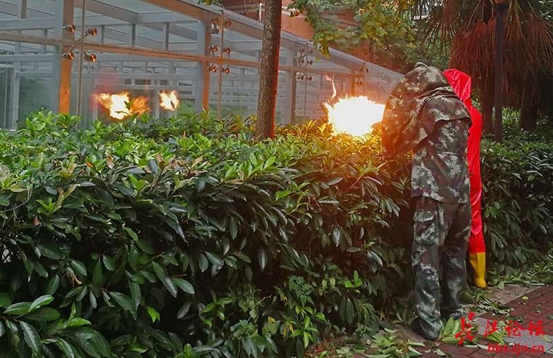 С�����������ˣ������ٱ�����æ