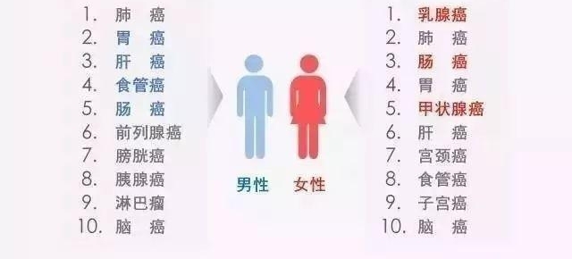 ӽʲô֢ȥعӽ뿪ԭ ӹϽ