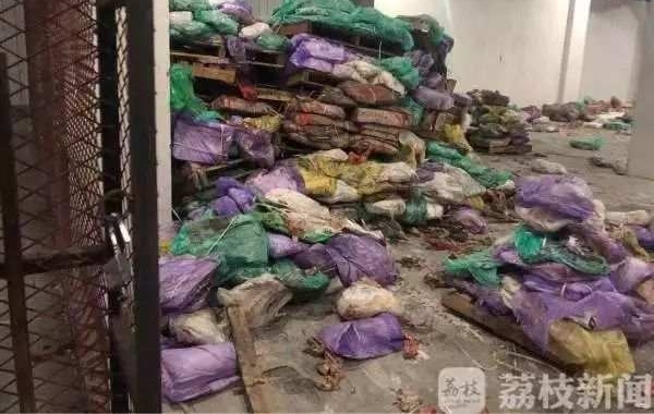 ֦׷٣⡱ιϲΰ˭ؼ˽ѽ룡