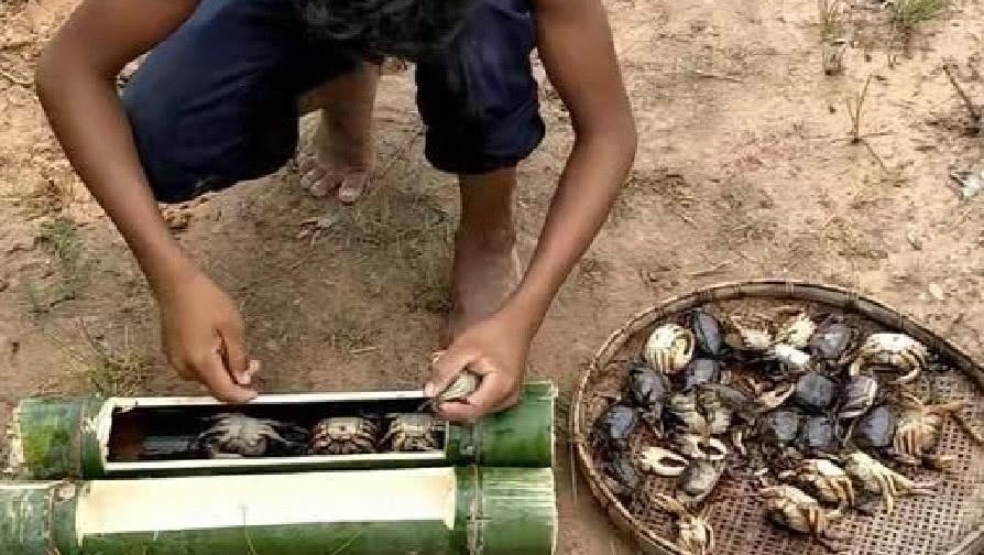 小伙做直播“条件差”,看到这些螃蟹,网友这顿没几千块吃不了