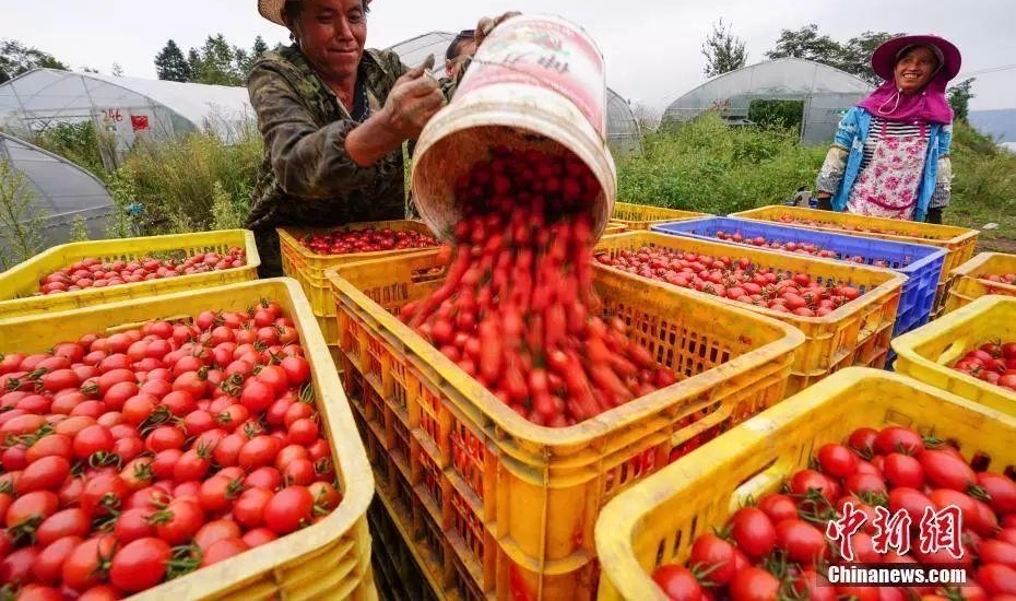 ����������� | 2018-09-23