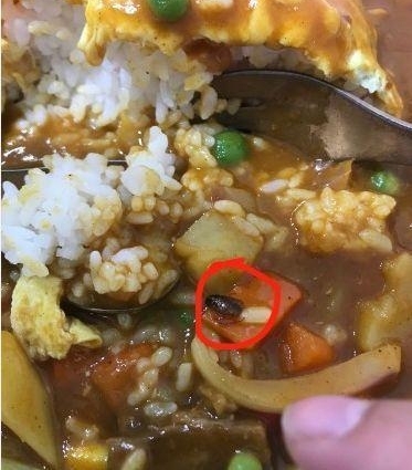 ��Ƶ|Ů������������Գ����  �����ˣ��ϳ���������