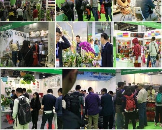 20193¹ݹʻչƳ³£ٶŹ