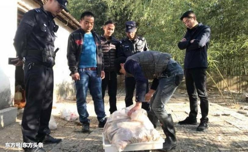 ʿ뼦ѣһ⡰Ѫϴ600ֳֻҲ̶á