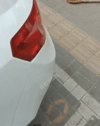 ֻ��Ȱ����ش�С�� �������ḸĸŹ������