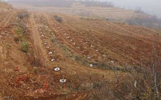 ʵʡί񲻹ҹ ¬Ѹ̻ж