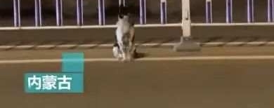 32˶ʿףŮ163ϣ1׶У־