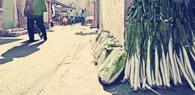 30ǰĶ죬Щʳ99%ı˶Թᱼ