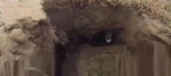 ӵԺݣоͷϲԣ̧ͷ˫Ȳܶ