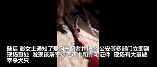 ̣ŮѰҰȮֺ ಿŲ鴦ϰٻȮ