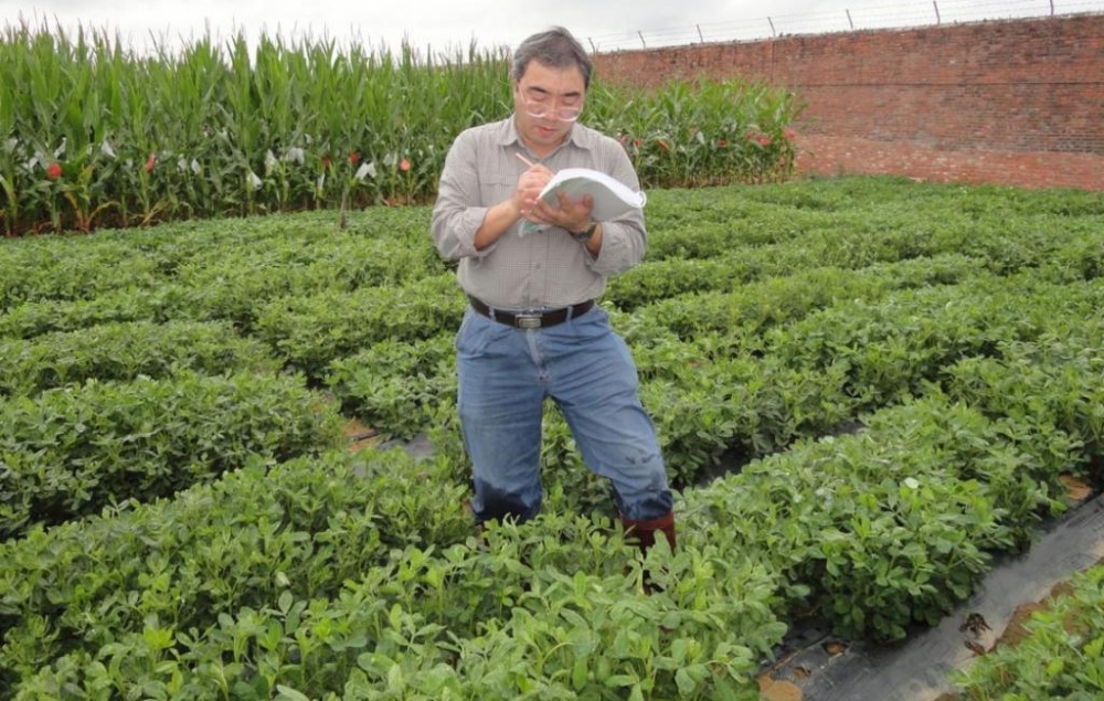 河南第11位!张新友院士荣获何梁何利基金奖