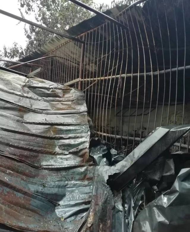 賿һ ꣡һҵ鷿һգ