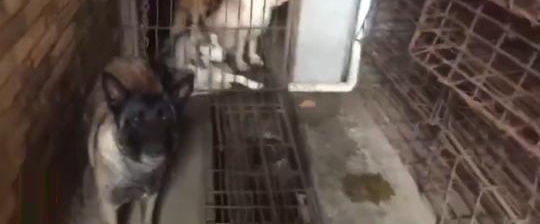 ̣ŮѰҰȮֺ ಿŲ鴦ϰٻȮ