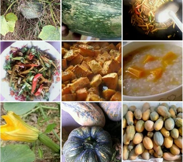 ƽ�ط��սڡ�����ϵ�ũ�塱